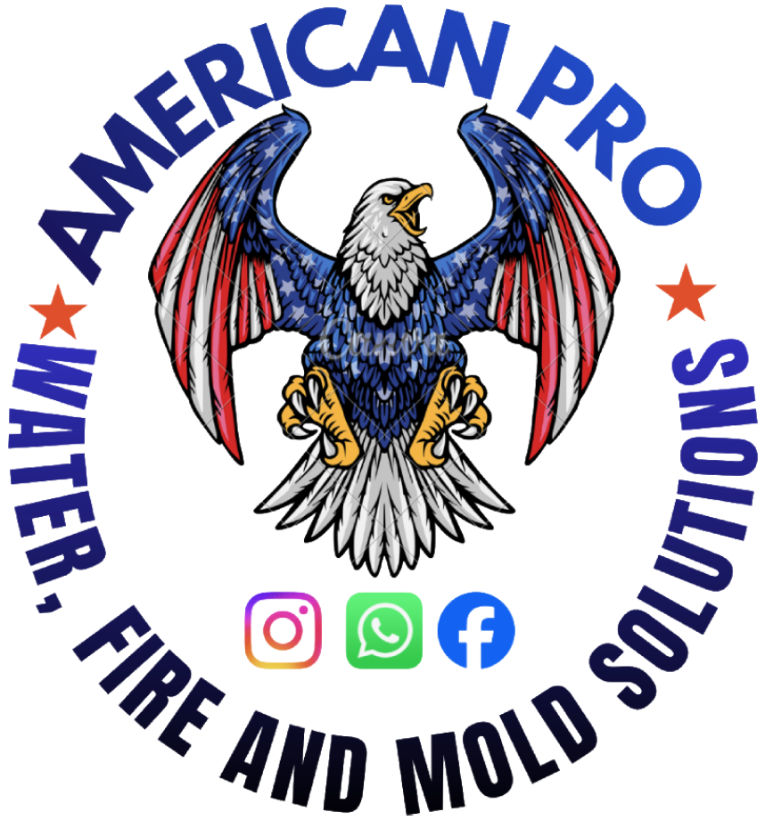 American Pro Restoration logo